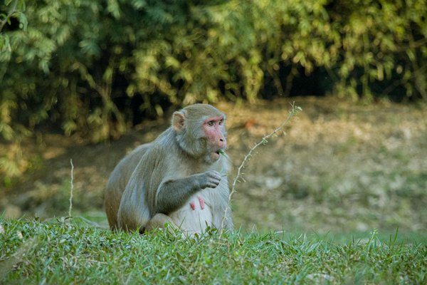 Rencontres Exclusives avec les Auteurs de Romans à Succès